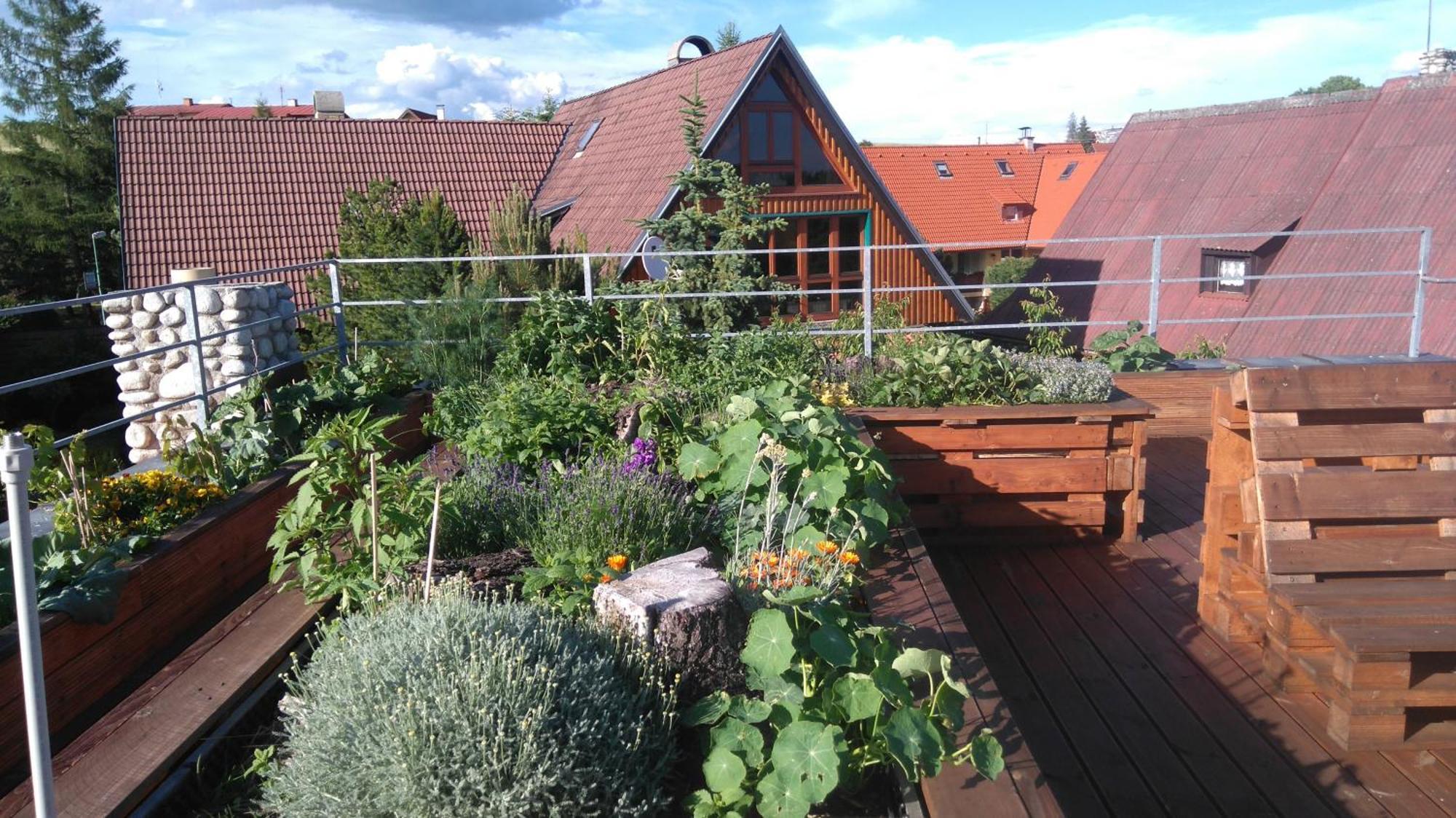 Family House - Apartmany Zuzana Stará Lesná Eksteriør bilde