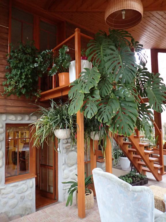Family House - Apartmany Zuzana Stará Lesná Rom bilde